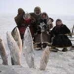 즉석<b>냉동</b>이란 이런것