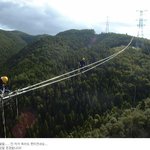 보통 <b>담력</b>으로는 못 하는 일