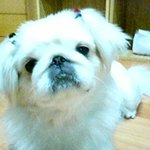 조금있으면 임신해요 ㅎㅎ