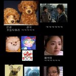 뉴하트인물들 <b>동물</b>배합표..ㅋㅋ 똑같다진짜..
