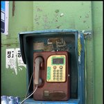 고양이의 <b>은신처</b>