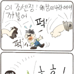 민들레의 <b>교훈</b>