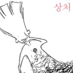 <b>상처</b>