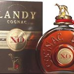 랑디 <b>xo</b> 가격알고 싶어요~