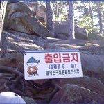 가장 싼 <b>과태료</b>
