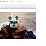 ㅋㅋㅋㅋ아진짜<b>장난</b>아니구요 이거<b>조카</b>웃기지요?