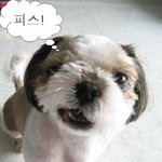 천하의 이소룡 그에게도 <b>국선</b>생이 절실히 필요했으니