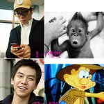 연예인 닮은꼴! ㅋㅋㅋ <b>투표</b>해주세요!