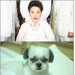 닮은꼴 <b>연애인</b>