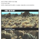 엄청난 스케일! <b>압도</b>적인 <10,000bc> 본예고편 대공개