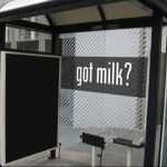 "지금 당신의 엉덩이는 완전 터졌습니다"^^