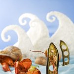 <b>sea</b> food ~ 바다가서 먹장