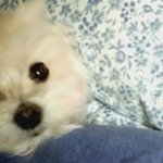 15년, 하지만 91살 내 동생.