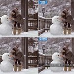 이다해, 정시아, 이인혜의  공통점