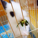 우리 미륵이,<b>보살</b>이 입니더~