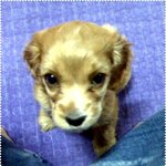 <b>쥬스</b>입니당~