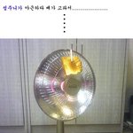 야근할때 <b>식빵</b> 먹는 방법