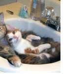 조금 <b>민망</b>한 혼탕사진.....