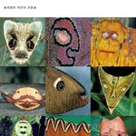 위대한자연의<b>산물</b>