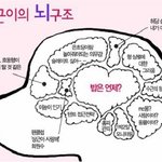 ㅋㅋㅋ 1박2일 <b>상근</b>이 뇌구조