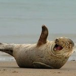 친구랑 <b>mt</b>를 가버렸어요..