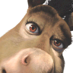 <b>저</b> 이쁜편인가요? (<b>사진</b>)