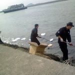 부산에도 <b>기름때</b>가 !!!!!!!!!?????