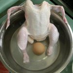 <b>수중</b>분만하는 사진...