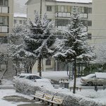 지금이 <b>몇</b>월<b>달</b>인데 눈이 온다니..