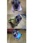 눈이 땡글땡글 <b>순이</b>!