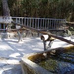 불x사에서도 방치되는 <b>보물</b>.