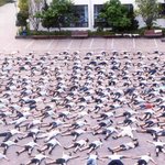 아침부터 전교생 <b>시체</b>놀이