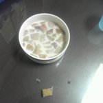 켈** 첵스에서 나온 <b>벌레</b>....