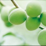 miguel ramos 의 y te vas (네가 떠난다면...)