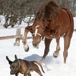 이리와 <b>개색</b>햐 넌 죽었어