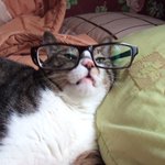 요즘 눈이 자꾸 안좋아져서......