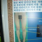 이사진은 남자일까요?여자일까요?