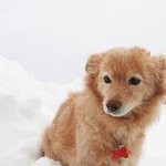 제발 <b>재탕</b>좀그만 ㅠ 구걸도그만 ㅠ