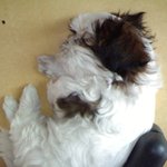 오늘은 비번.ご,.こㆀ