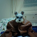 i <b>know</b>님을 오랫만에 웃겨드릴까?웃으실까