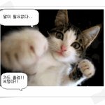 이런 제길...