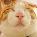 오늘도 회사에서 <b>노가리</b>만....