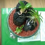 내 <b>솜씨</b> 어때요?