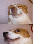 <b>난감</b>한 비기군
