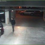 어제 글올린 논현동 줌머 도둑.....