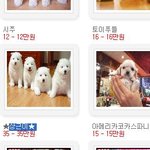 상근이가 네마리나있네..?