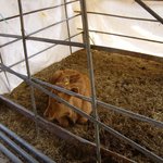 농부로  산다는 것 #7