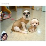 쫄쫄이와<b>타이즈</b>