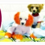 울 해피 <b>엄지</b>..예욤...^^