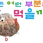 오징어 먹는 순서로 알아보는 내 성격